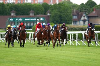 Le Quinté+ du jeudi 19 mars vu par les statistiques