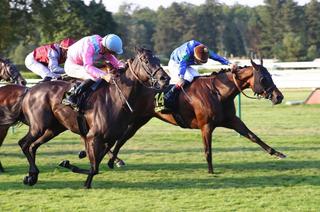 Quinté+ du jeudi 16 juillet à Compiègne : Nicolas Caullery avait les clés de la course, Dark Zel l'emporte