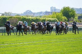 Quinté+ du samedi 20 juin à Compiègne : Analyse et décryptage de la course de réf