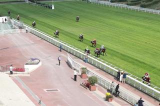 Quinté+ du samedi 17 octobre à Auteuil : Analyse et décryptage de la course de réf