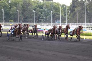 Quinté+ du vendredi 19 juin à Vincennes : Analyse et décryptage de la course de réf