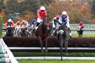 Quinté+ du dimanche 23 novembre : Analyse et décryptage de la course de réf