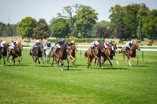 Quinté+ du jeudi 23 juillet à Vichy : Analyse et décryptage de la course de réf