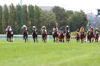 Quinté+ du jeudi 24 septembre à Compiègne : Analyse et décryptage de la course de réf