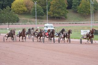 Quinté+ du jeudi 29 octobre à Vincennes : Analyse et décryptage de la course de réf