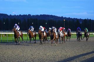 Quinté+ du mardi 29 septembre à Chantilly : Analyse et décryptage de la course de réf