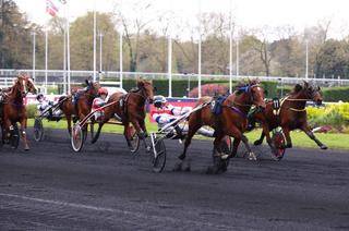 Quinté+ du vendredi 17 avril à Vincennes : Analyse et décryptage de la course de réf