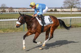 Track Test Quinté+ du lundi 10 novembre à Chantilly : la puissance de Rock Blanc !