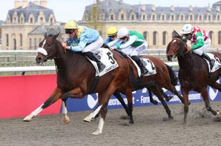 Quinté+ du lundi 10 novembre à Chantilly : Rock Blanc a tout pour plaire