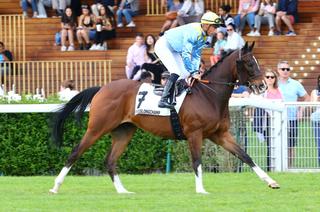 Rock Blanc, la base solide du Quinté du lundi 10 novembre