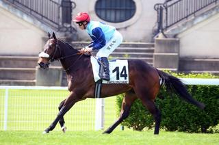 Quinté+ du jeudi 11 juin à ParisLongchamp : Rozarion possède beaucoup d'atouts dans son jeu