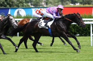 Quinté+ du samedi 20 juin à Compiègne : Sapristi a tout pour plaire