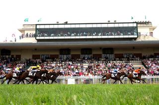 L'analyse des cotes du Quinté+ du mardi 4 août à Deauville