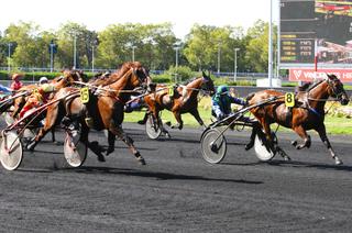 L'analyse des cotes du Quinté+ du samedi 5 septembre à Vincennes