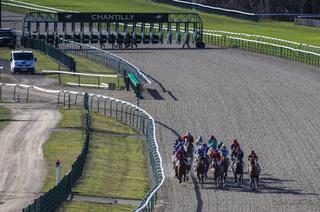 Le Quinté+ du lundi 23 mars vu par les statistiques
