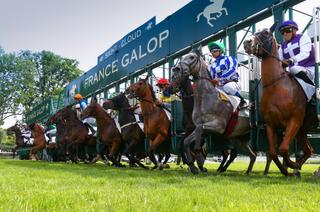 Le Quinté+ du mardi 10 mars à Saint-Cloud vu par les statistiques