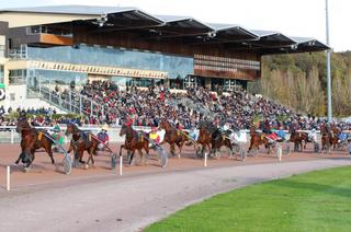Quinté+ du mercredi 29  avril à Laval : Analyse et décryptage de la course de réf