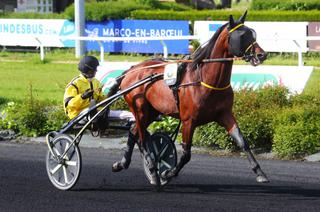 Samedi à Salon-de-Provence : Grand Prix de Salon-de-Provence - Prix Roland Jaffrelot - Race and Care (Gr. III) – Favori/outsider
