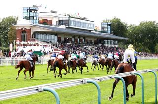 Le Quinté+ du mardi 1er septembre à Deauville vu par les statistiques