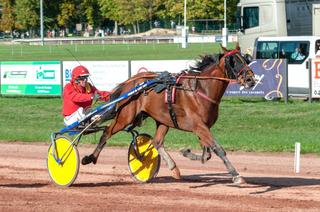Iron Jet, l'outsider séduisant du Quinté+ de ce vendredi 6 mars