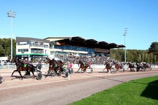 Le Quinté+ du mercredi 29 avril vu par les statistiques