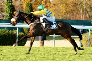 Blue Borana, la base solide du Quinté+ du samedi 26 septembre à Auteuil