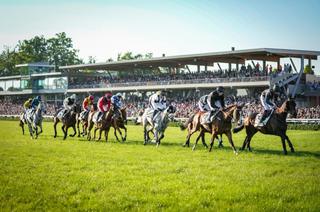 Jeudi au Lion d'Angers - Anjou-Loire Challenge : Analyse et conseil de jeu