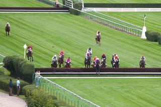 L'analyse des cotes du Quinté+ du mardi 8 septembre à Auteuil