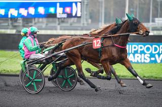Quinté+ du mardi 26 mai à Paris-Vincennes : Laguna Seca a une belle carte à jouer