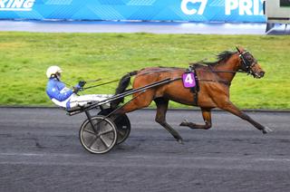 Quinté+ du jeudi 8 janvier : Free Time Jepson découvre un engagement en or