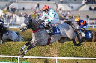 Jeudi à Auteuil : Analyse et conseil de jeux du Prix William et Alec Head
