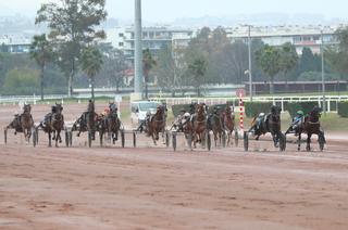 Quinté+ du jeudi 8 janvier à Cagnes-sur-Mer : analyse et décryptage de la course de réf