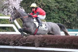 Quinté+ du samedi 16 mai à Auteuil : confirmation attendue pour Nicos Invicta