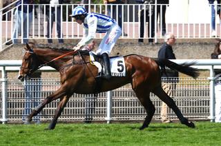 Quinté+ du samedi 26 septembre à Auteuil : Robin Hill nous doit une revanche