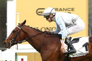 Prince Aubois, l'outsider séduisant du Quinté+ du jeudi 30 avril