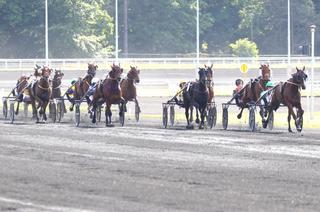 Le Quinté+ du vendredi 22 mai à Vincennes vu par les statistiques