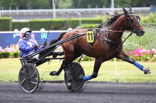 Kanto Avis, la base solide du Quinté+ du jeudi 26 février à Cagnes-sur-Mer