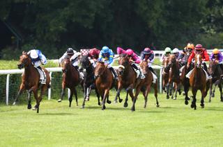Le Quinté+ du mardi 9 juin vu par les statistiques