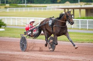 Diabel, la base solide du Quinté+ de ce samedi 23 mai à Enghien