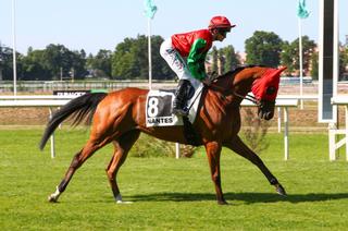 Track Test Quinté+ du dimanche 29 mars : Nolito semble bien armé