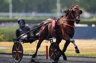 Jabalpur, la base solide du Quinté+ de ce dimanche 7 décembre
