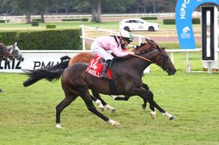 Track Test Quinté+ du mardi 10 mars : Treatwood,  sur tous les tableaux