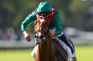 Grand Prix de Saint-Cloud - World Pool by PMU : Extraordinaire Calandagan !