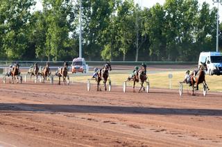 Quinté+ du lundi 6 juillet aux Sables-d’Olonne : Analyse et décryptage de la course de référence