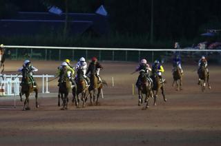 Vendredi à Cabourg - Prix Fandango : analyse de la course et conseil de jeu
