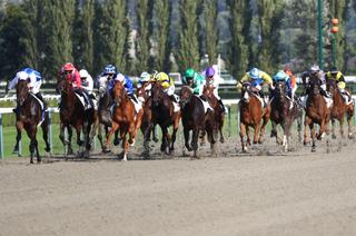 L'analyse des cotes du Quinté+ du mardi 11 août à Deauville