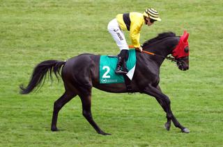 Jeudi à Longchamp - Prix Vicomtesse Vigier (Groupe 1) : Rashford face aux meilleurs stayers