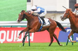 Prix Gladiateur : le retour des stayers jeudi à Longchamp