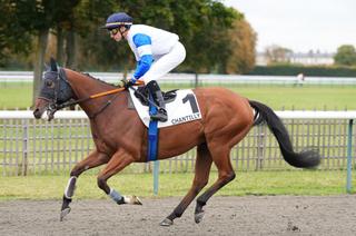 Kahuna, l’outsider séduisant du Quinté+ du mercredi 14 janvier à Cagnes-sur-Mer