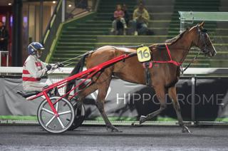 Galinette Bleue, la base solide du Quinté+ de ce jeudi 19 février